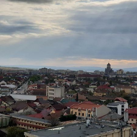 Exclusive Hortensiei Baia Mare Luaran gambar